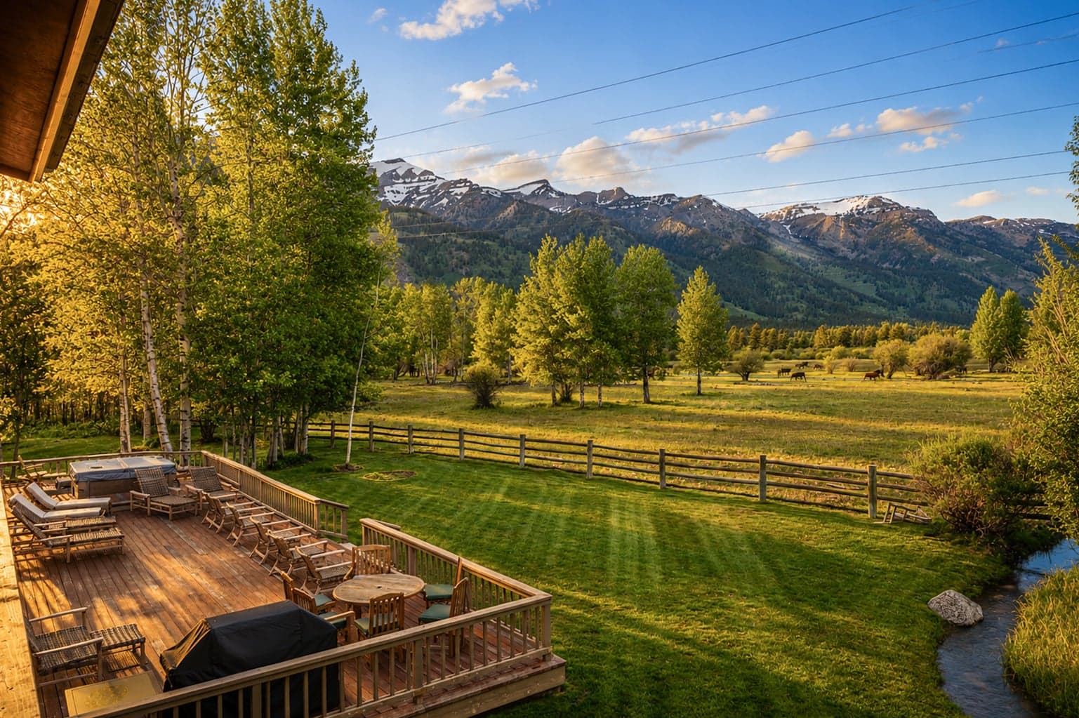 Backyard View From Deck