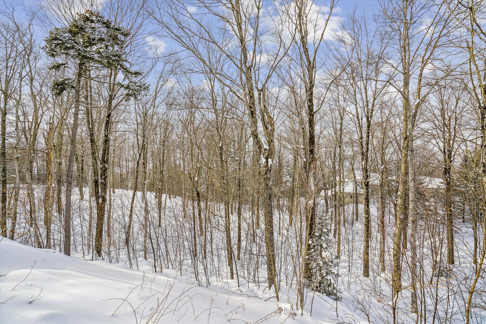 Take a walk in the surrounding area.