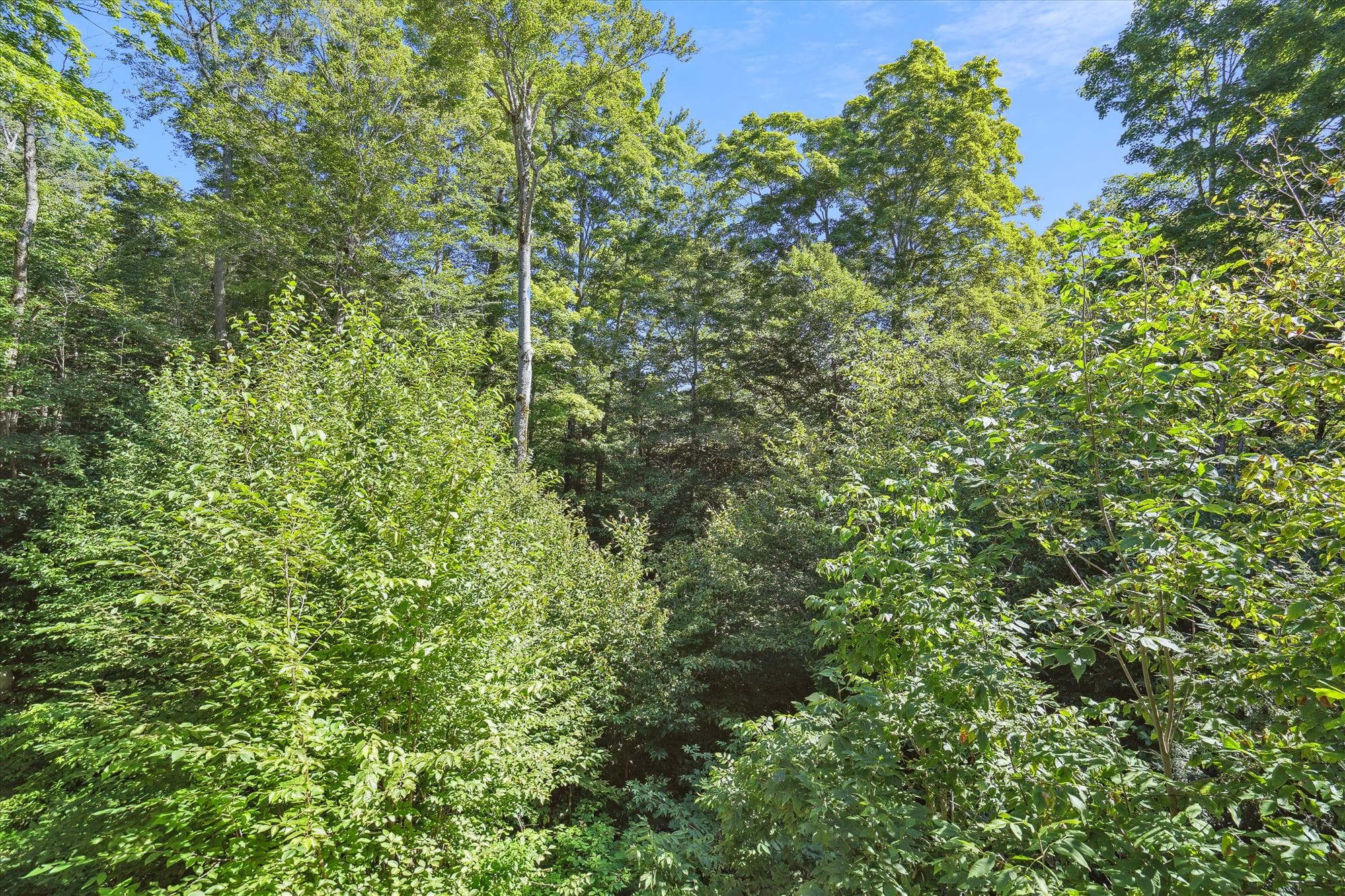 View around your lodging.