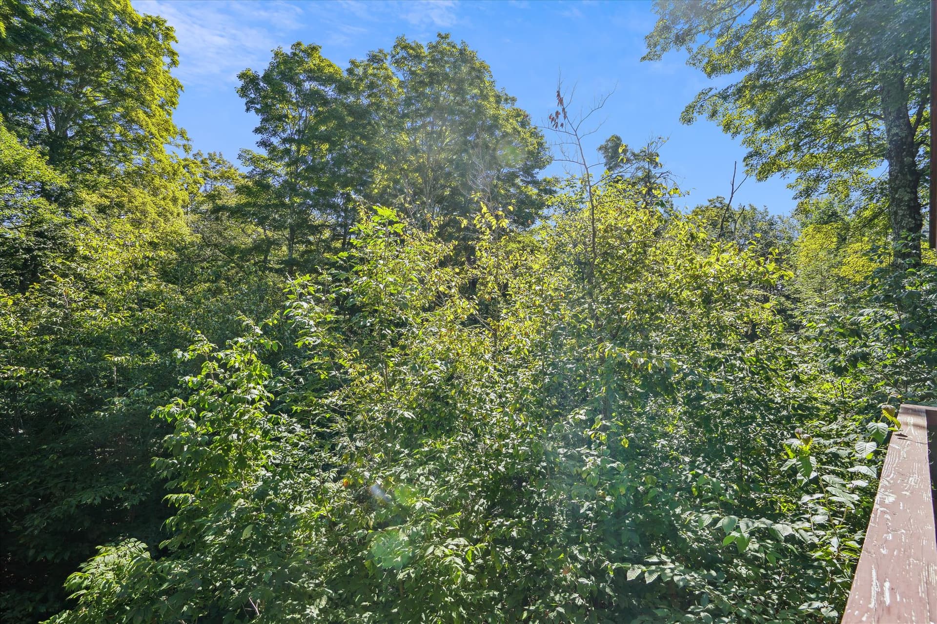 View around your lodging.