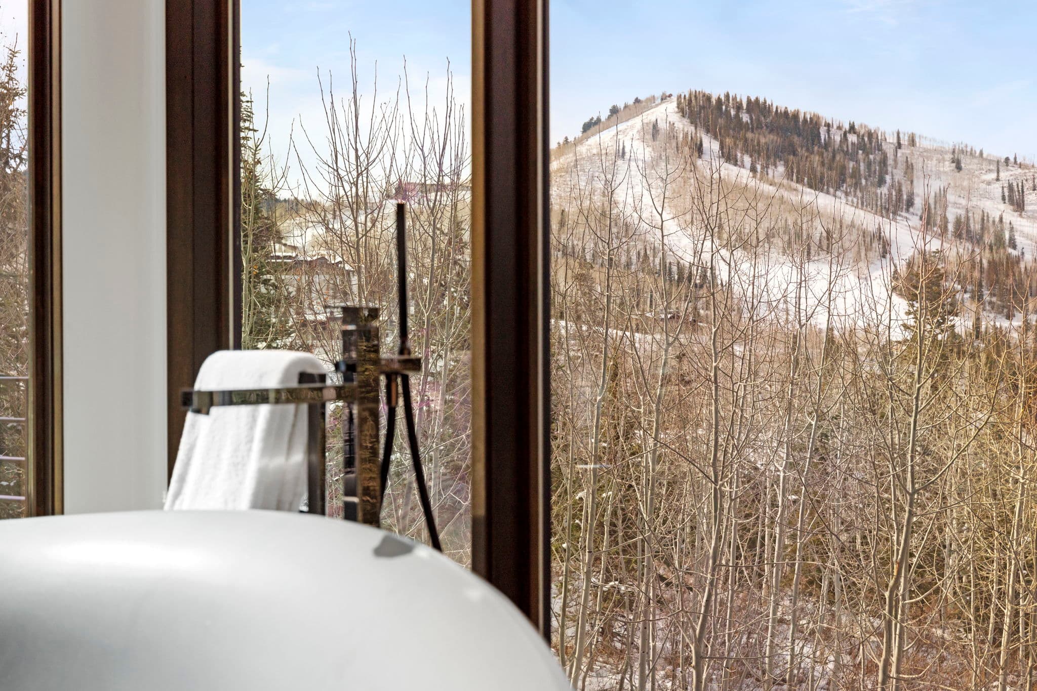 A view of the mountains from a bath tub.