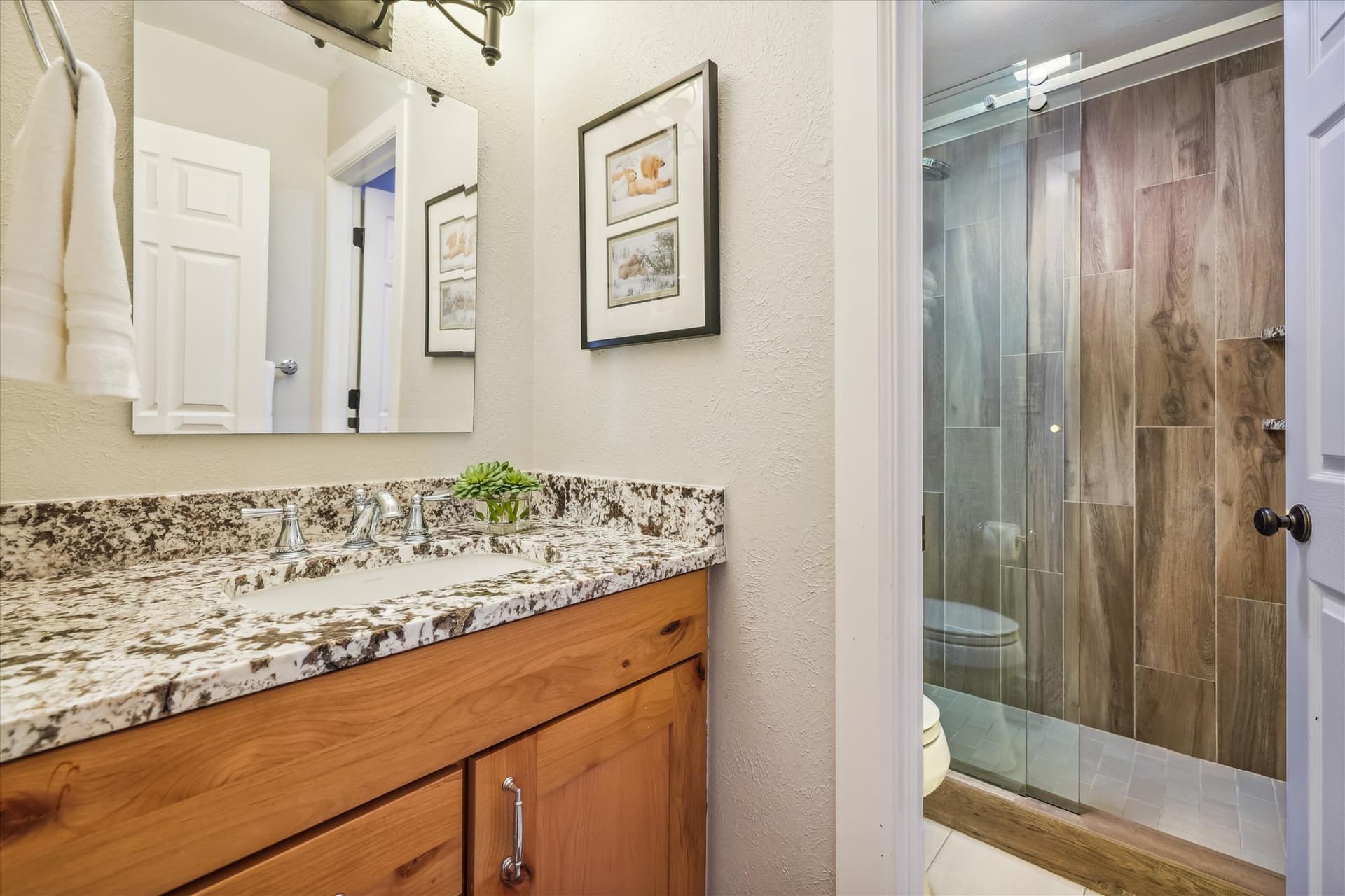 Bathroom, Snodallion 25, Breckenridge Vacation Rental