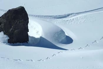 Ski Hill