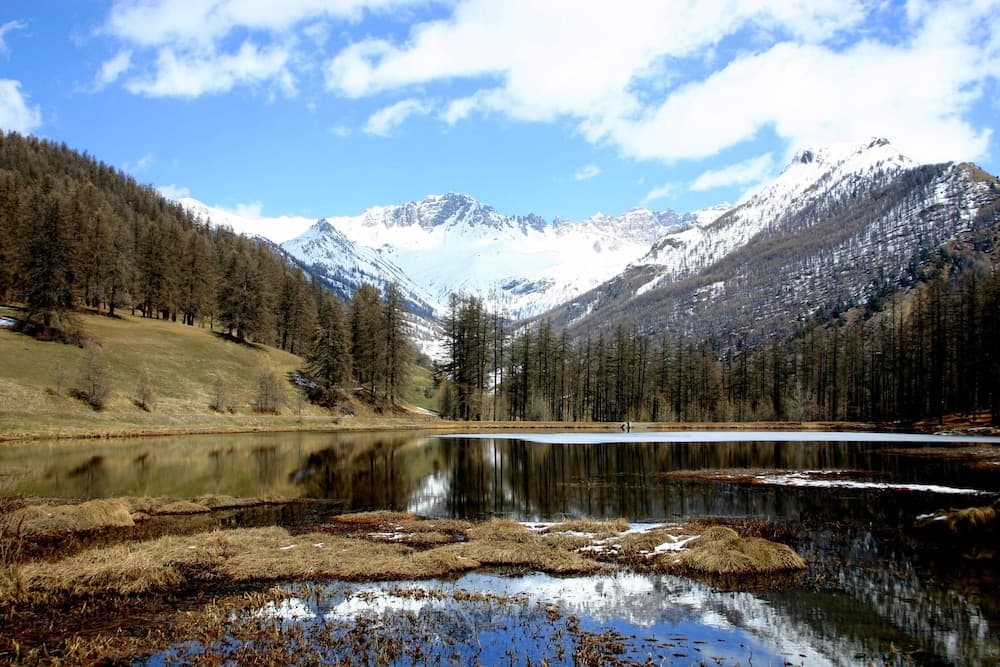 Lake View