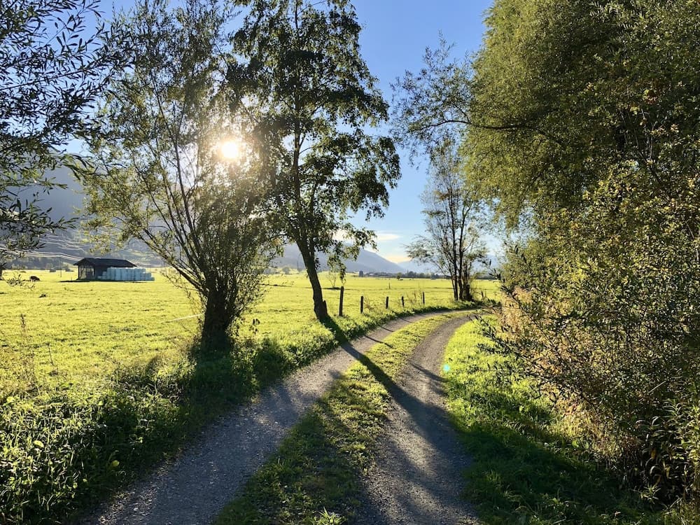 Hiking