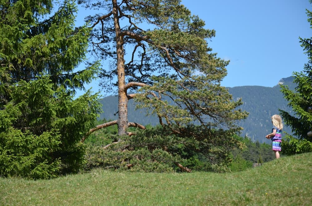 Hiking