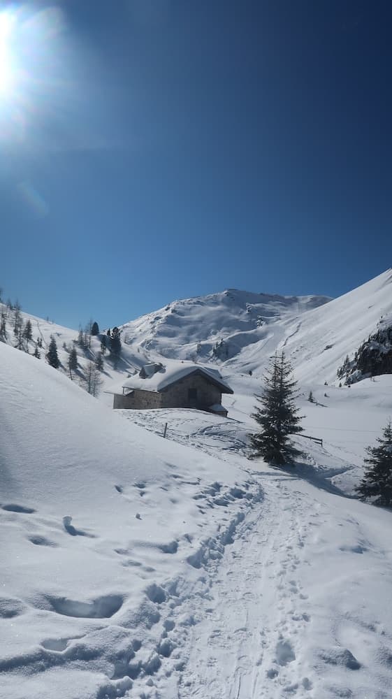Snowshoeing