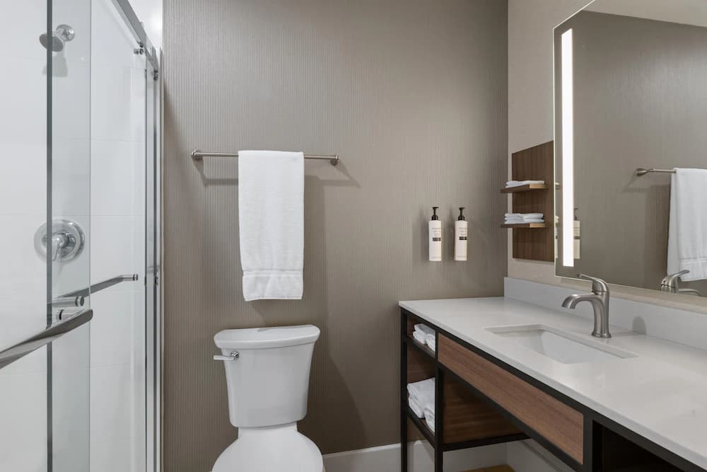 Bathroom shower