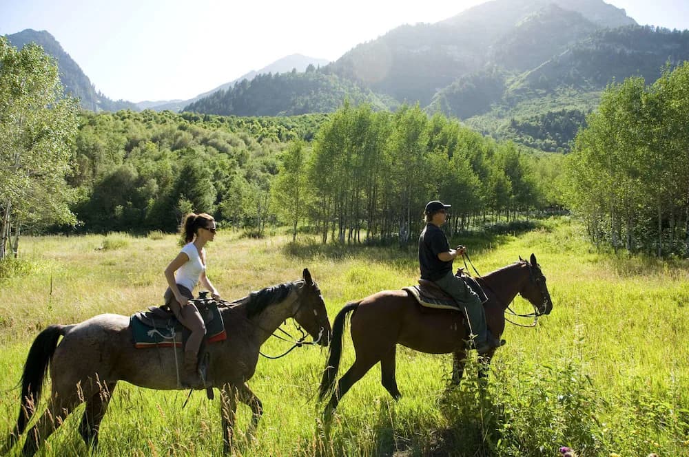 Horseback riding