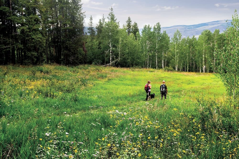 Hiking