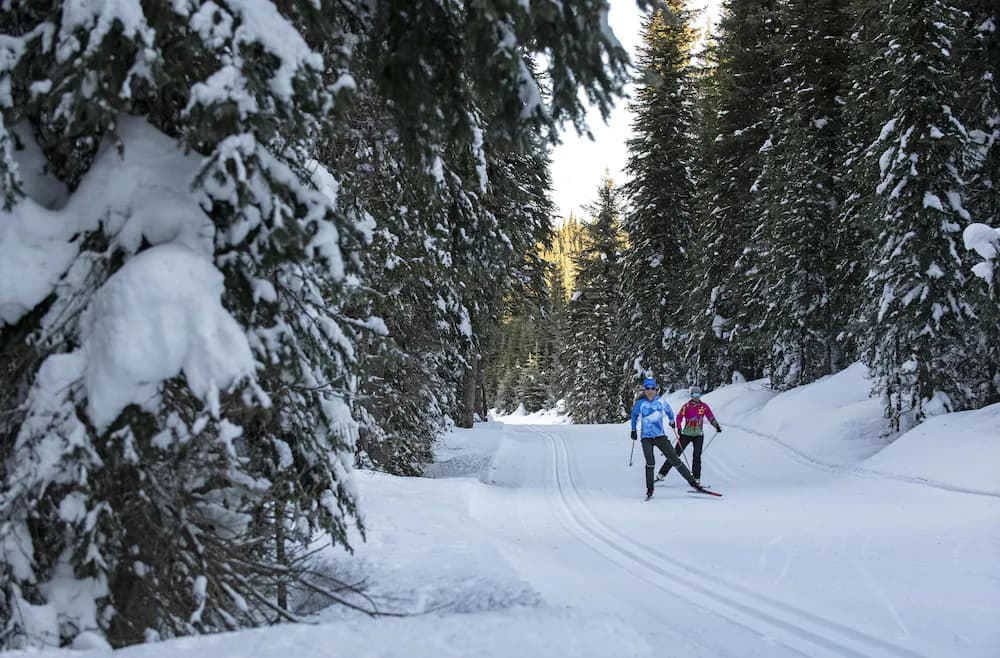 Snow and ski sports