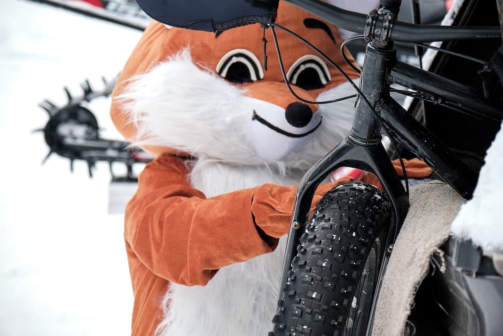 Snowmobiling