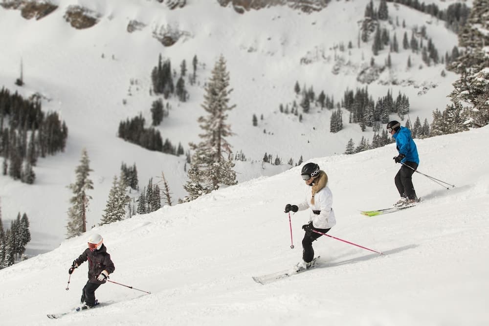 Snow and ski sports