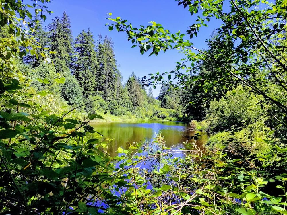 Lake