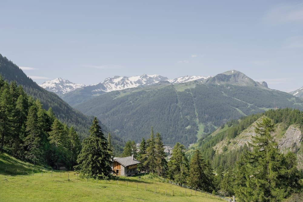 View from property