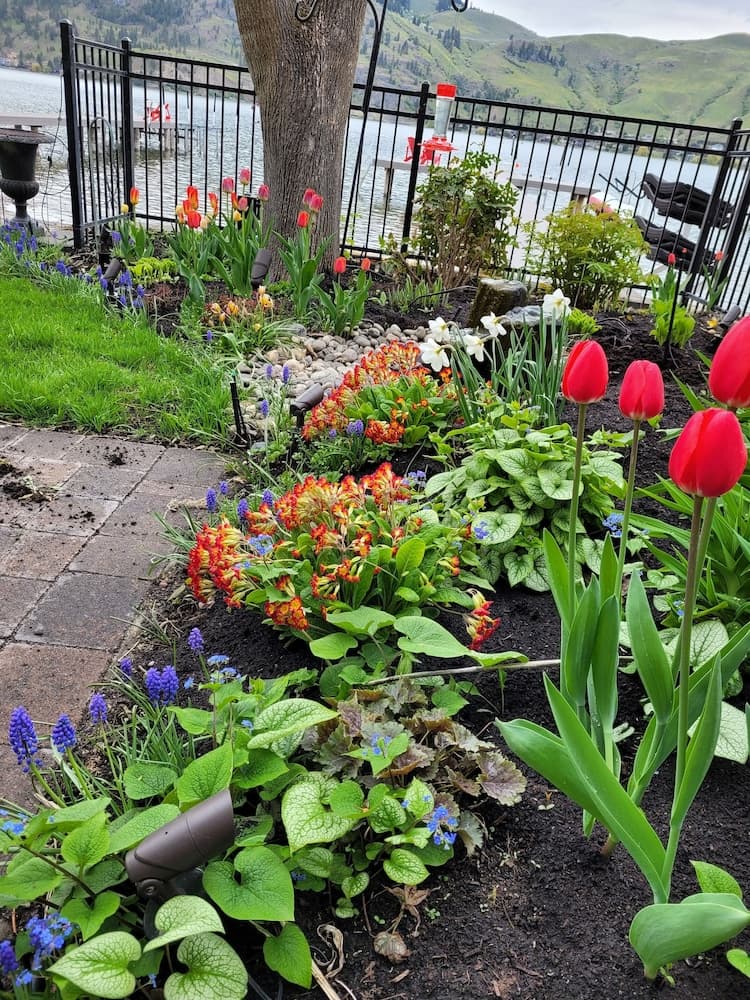 Garden view