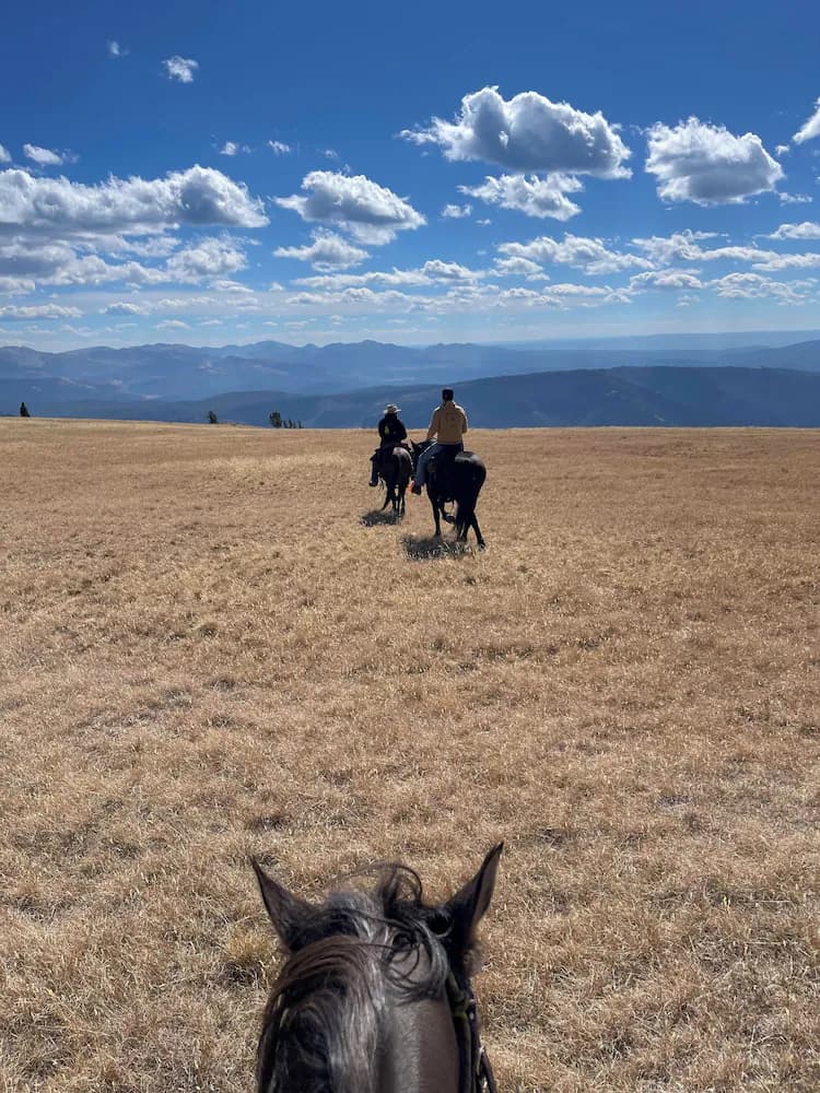 Horseback riding