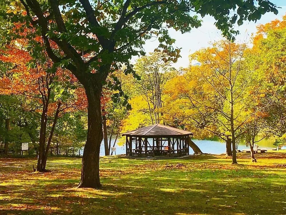 Land view from property