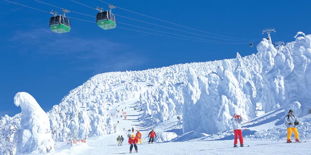 Snow and ski sports