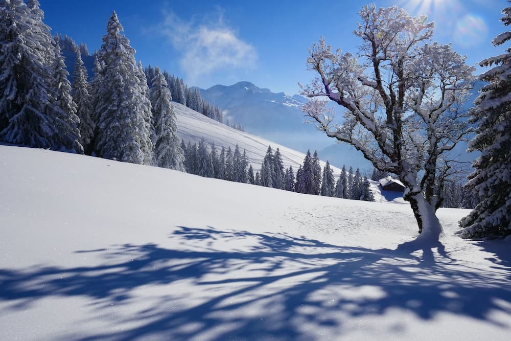 Snow and ski sports