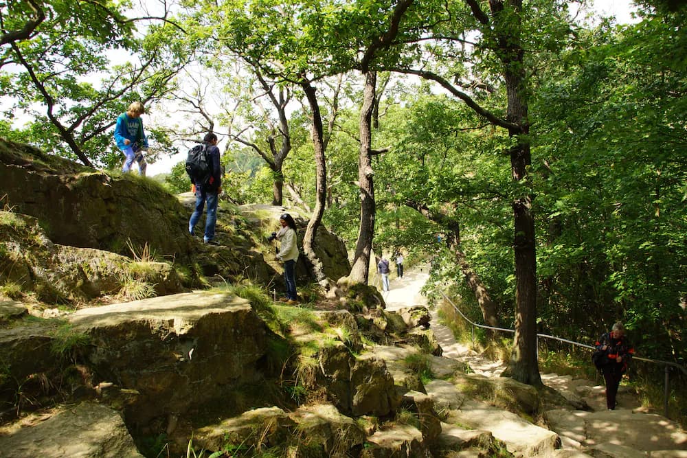 Hiking