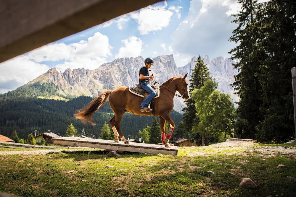 Horseback riding