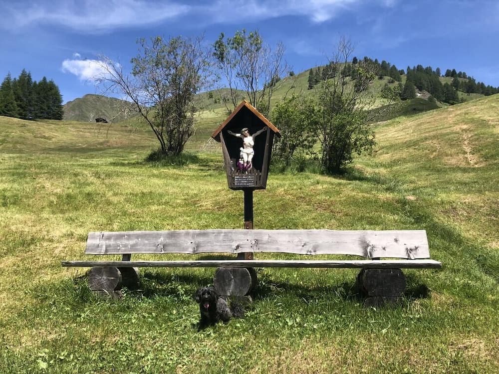 Hiking