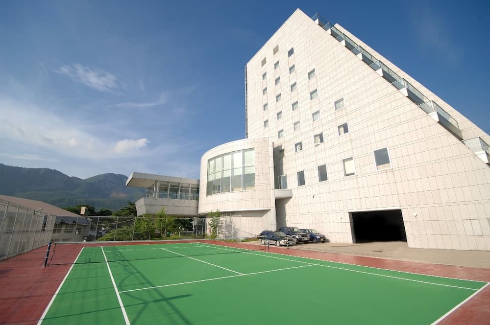 Tennis court