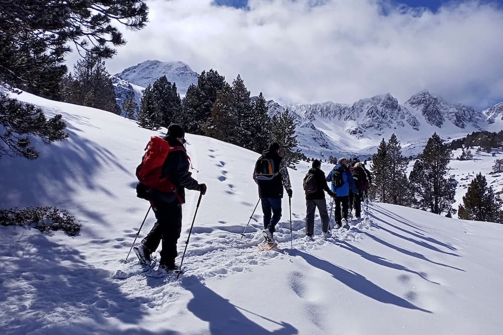 Snowshoeing