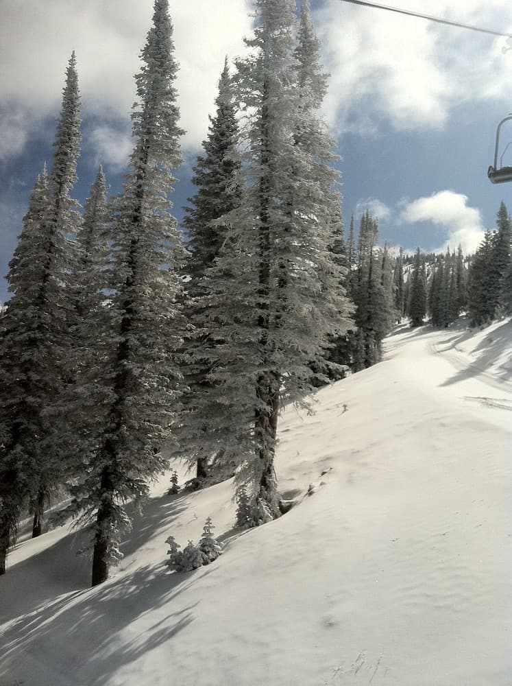 Skiing