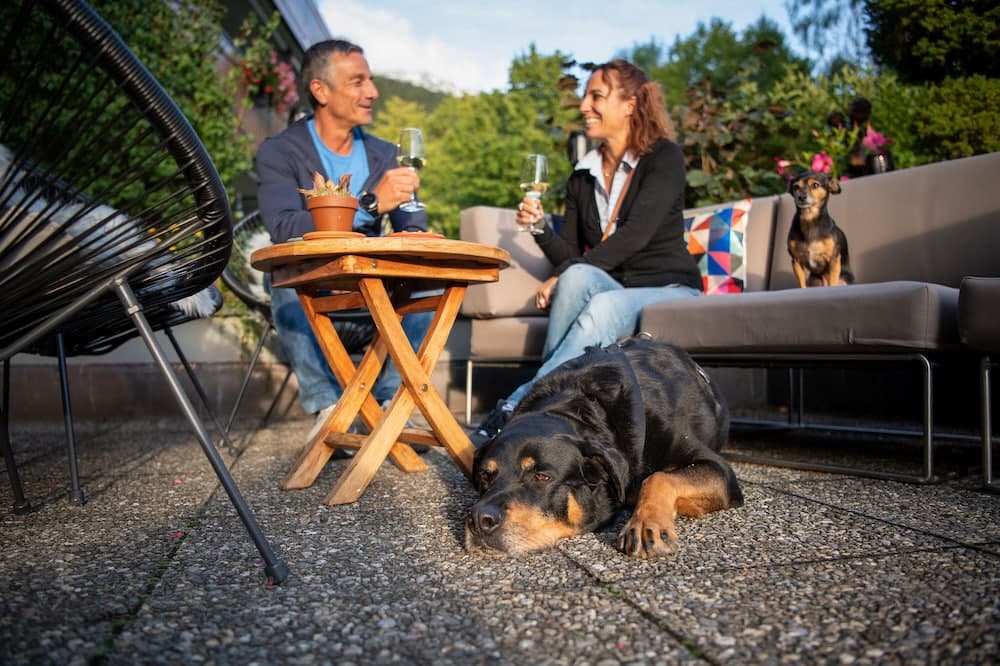 Pet-friendly