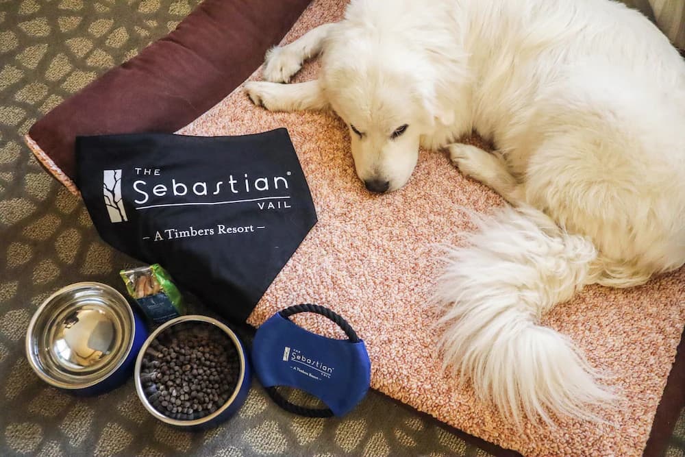 Pet-friendly amenities