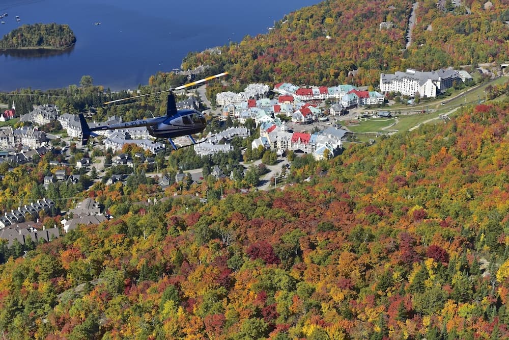Helicopter/plane tours