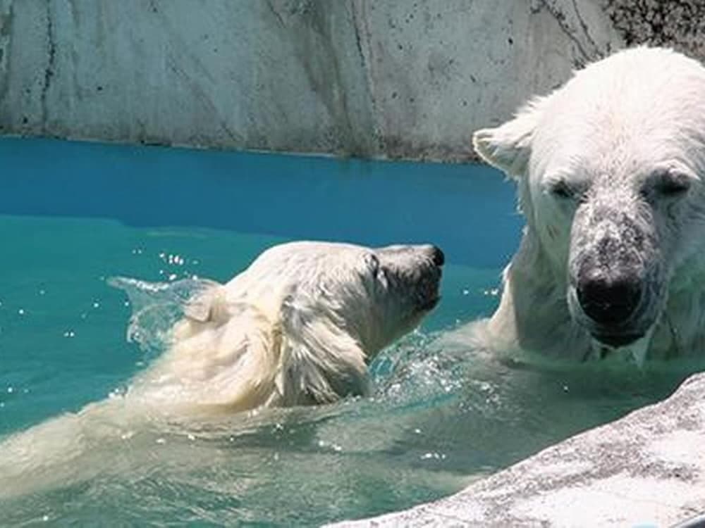 Point of interest