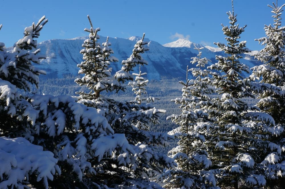 Mountain view