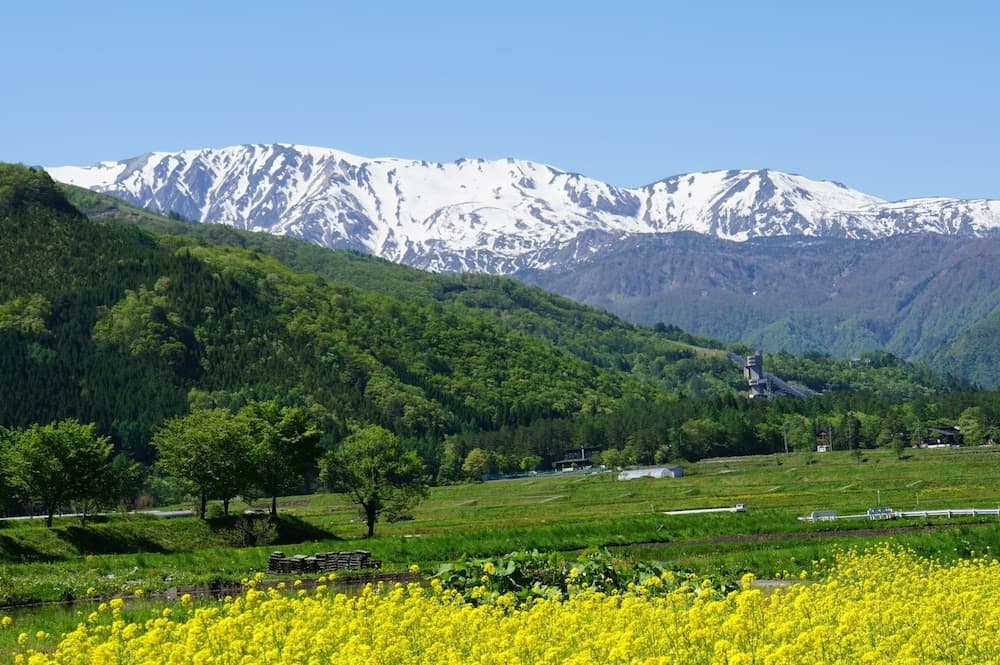 Mountain view