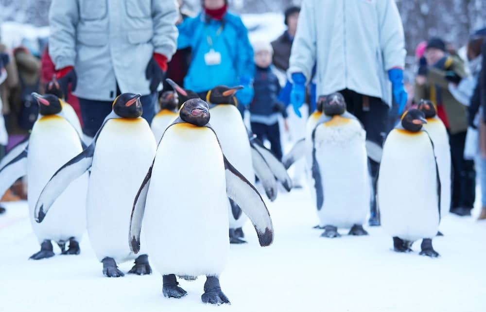Point of interest