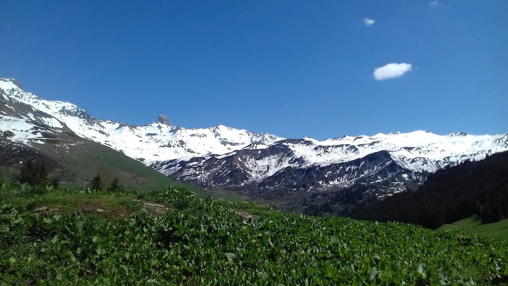 Hiking