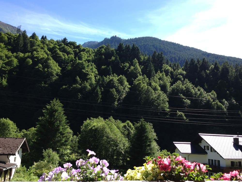 View from room