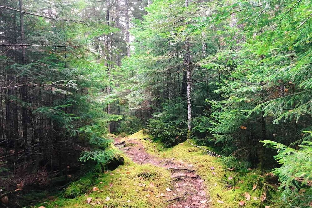 Hiking