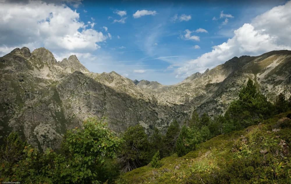 Mountain view