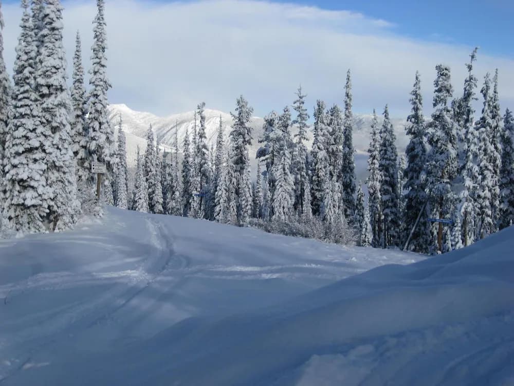 Snow and ski sports