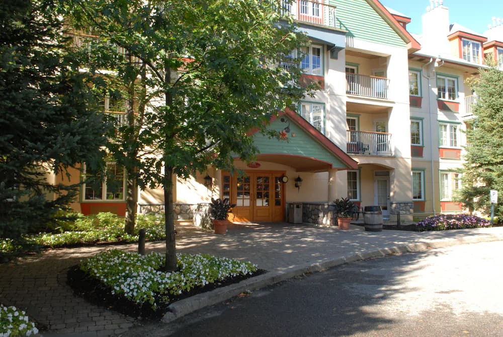 Primary image