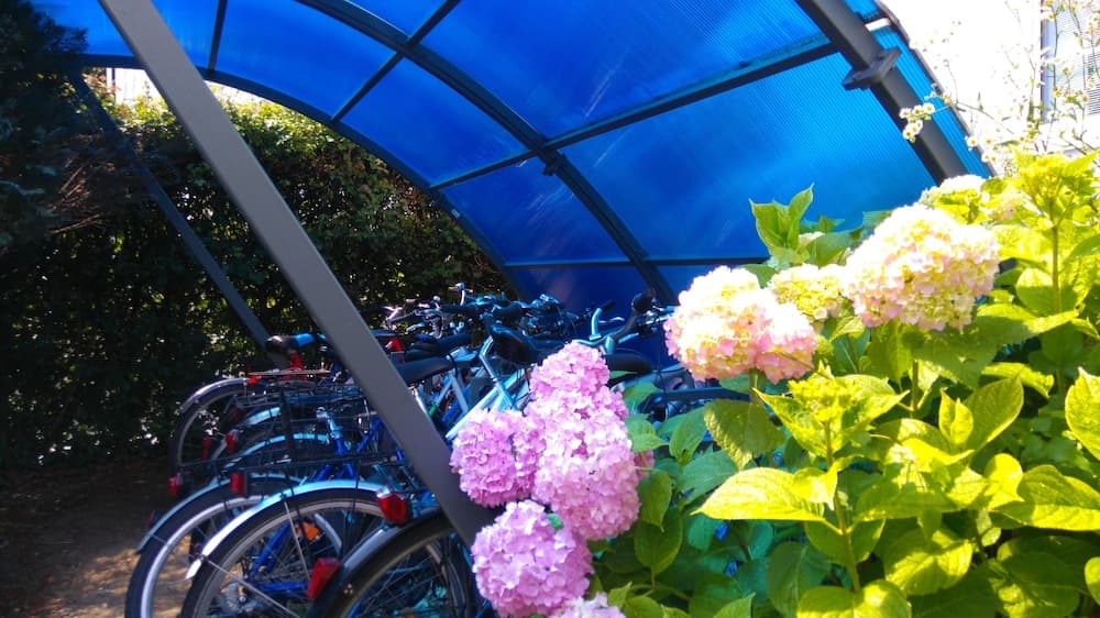 Bicycling