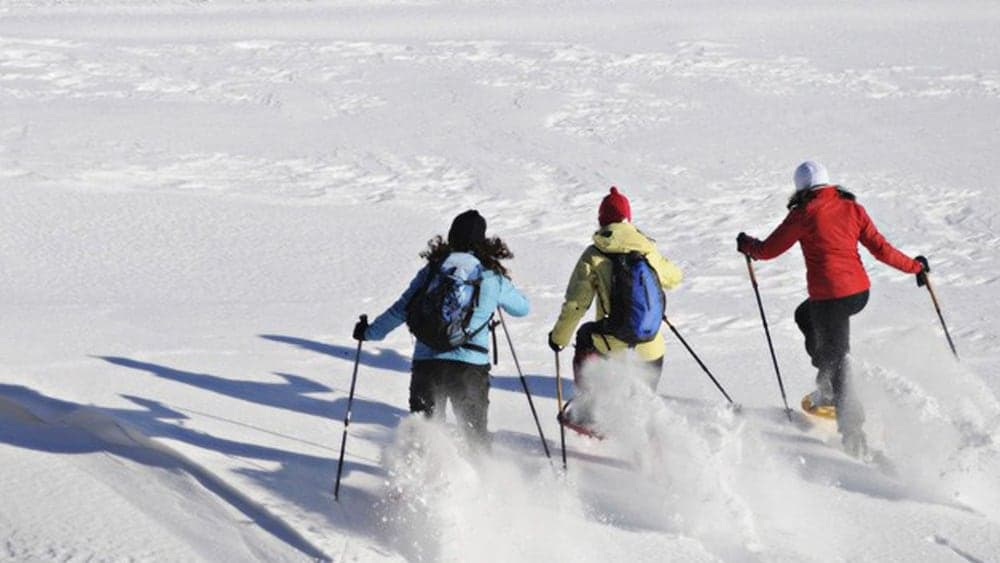 Snow and ski sports
