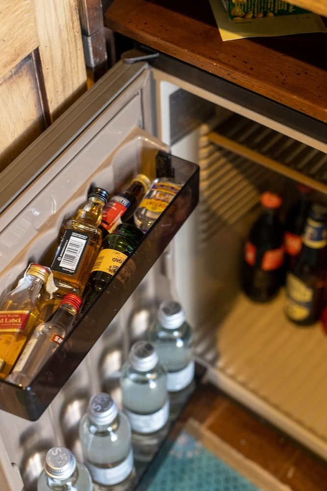 Mini-refrigerator