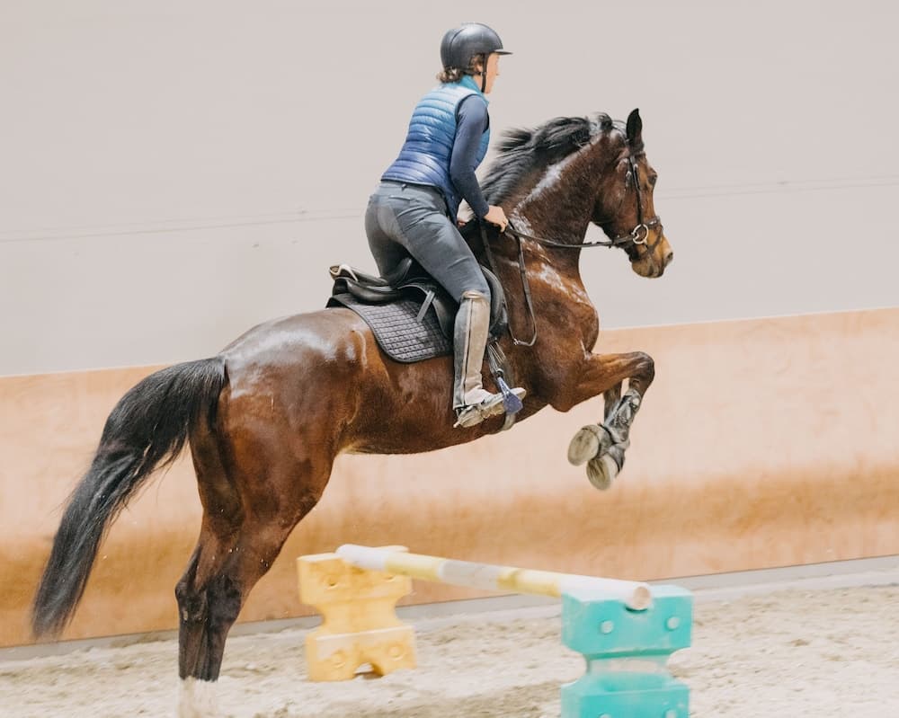 Horseback riding
