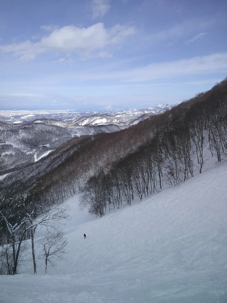 Snow and ski sports