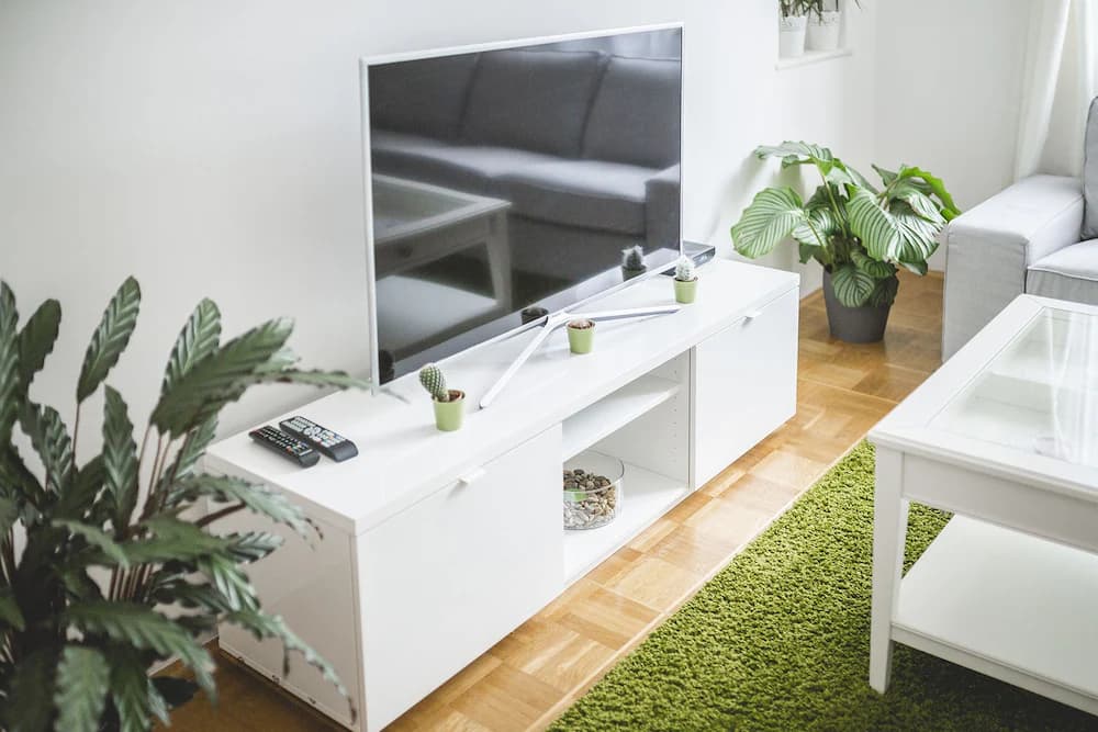 Television