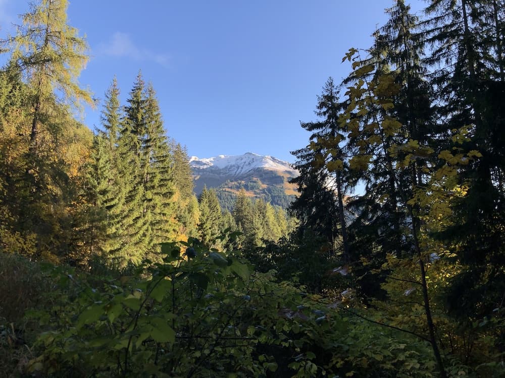 Hiking
